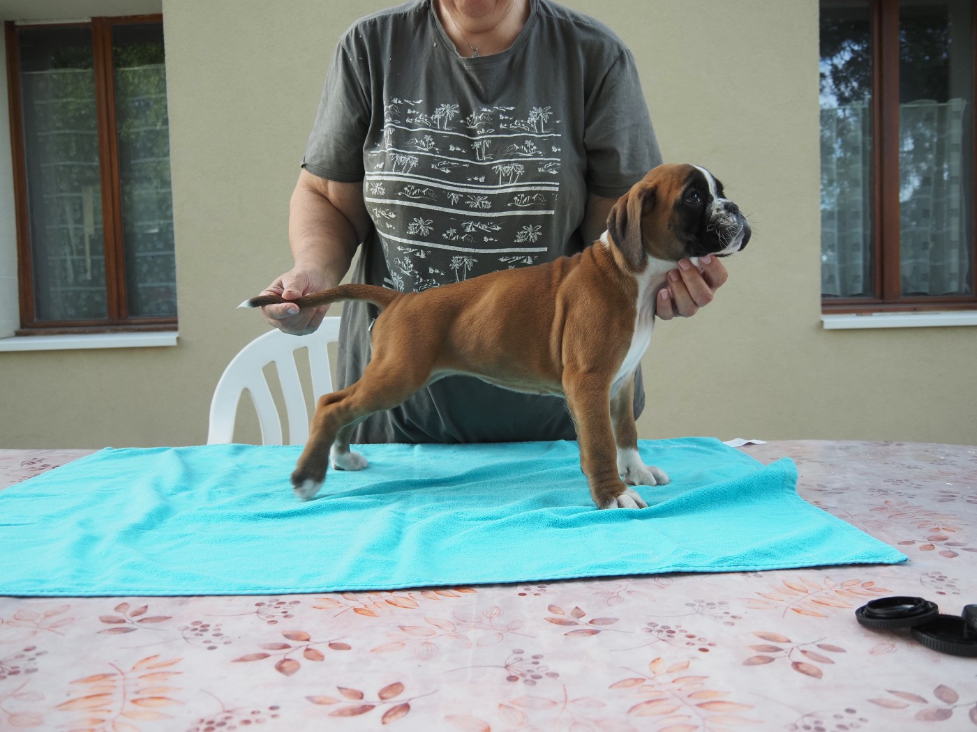 Ashley 1er exposition